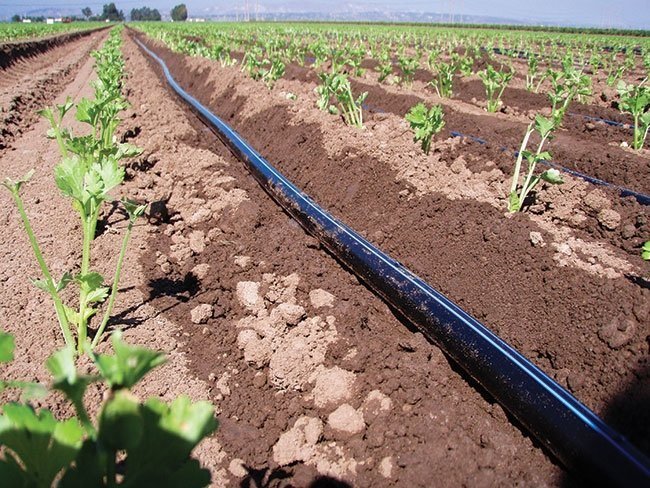 Drip Irrigation Tape
