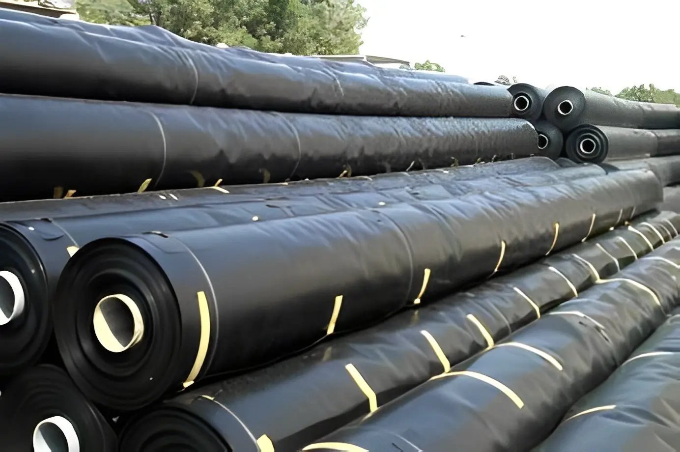 Geomembrane